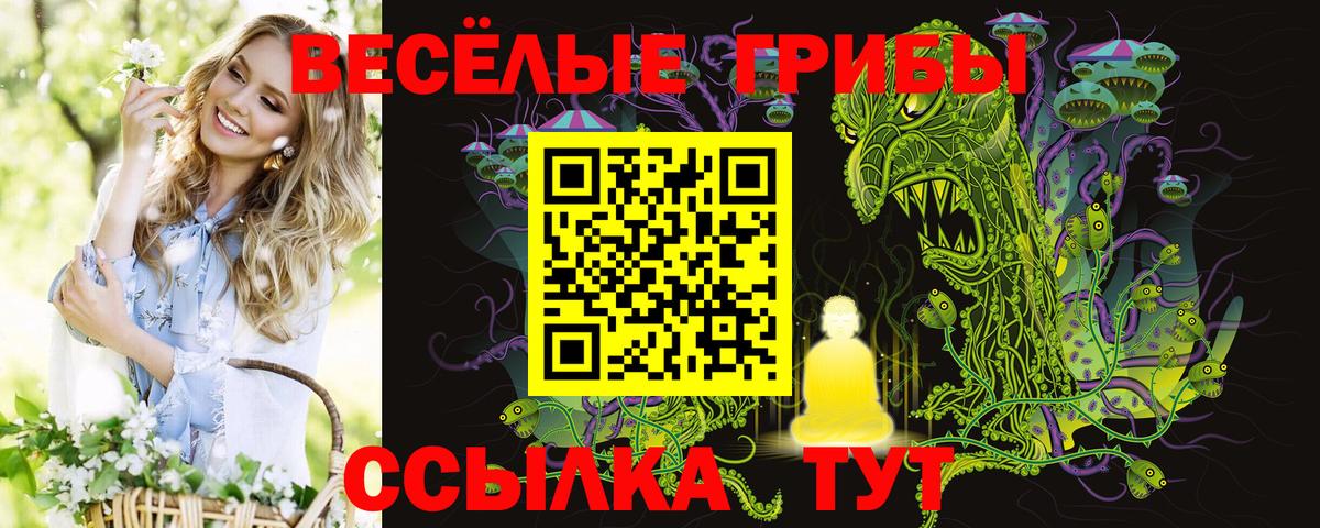 Галлюциногенные грибы ЛСД Александров